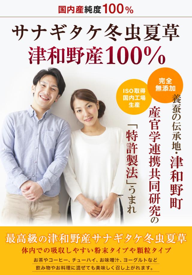 サナギタケ冬虫夏草