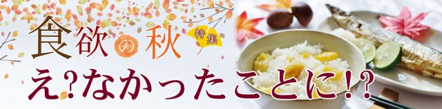 2022 クルクミン50mm配合 PAY マーケット - 冬虫夏草とサプリの専門店 ギャバ太郎ショップ|商品ロットナンバー:295349147 濃縮4種ウコン お徳用540粒(約9ヶ月分) の通販はau 2022好評