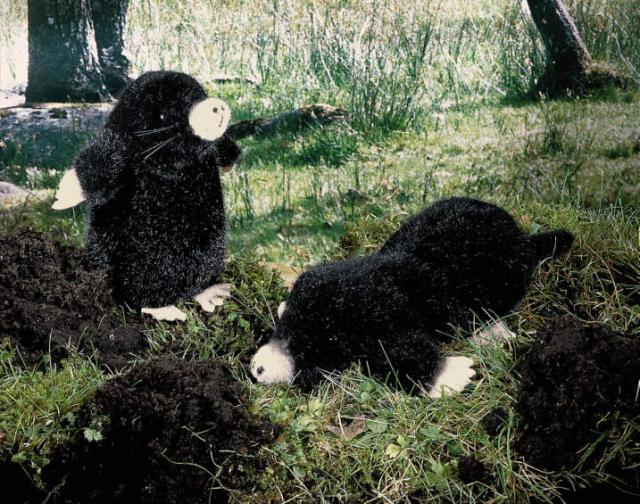 KOESEN ケーセン社 もぐら 伏せ 4420 〜ドイツ・KOESEN/KOSEN