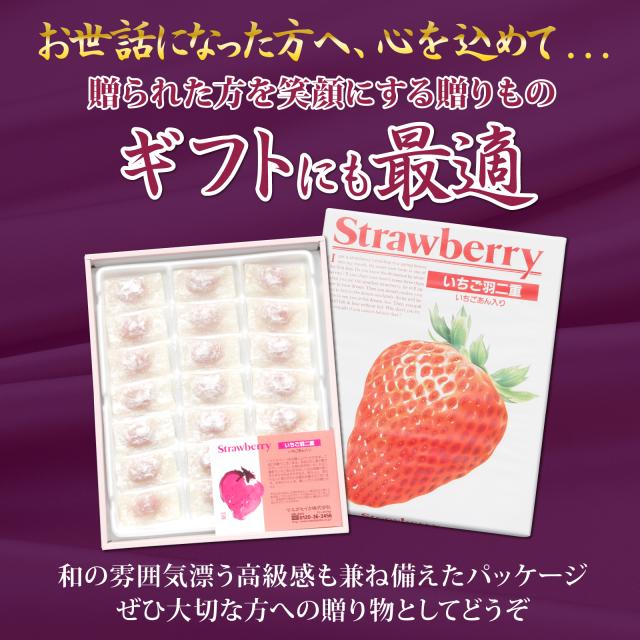 ギフトにも最適