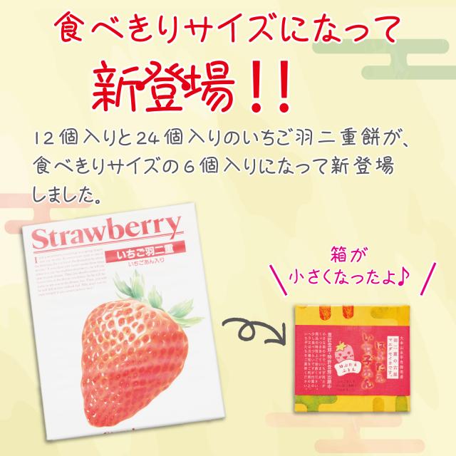 はぶたえ いち子 6個