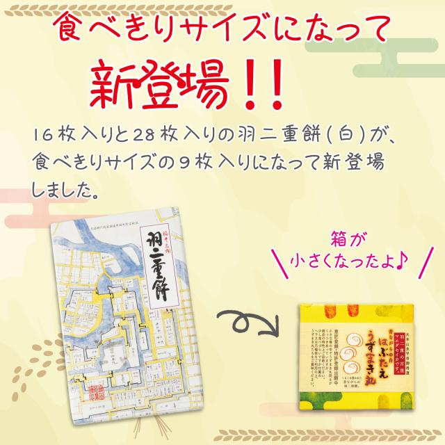 はぶたえ うずまき丸 9枚