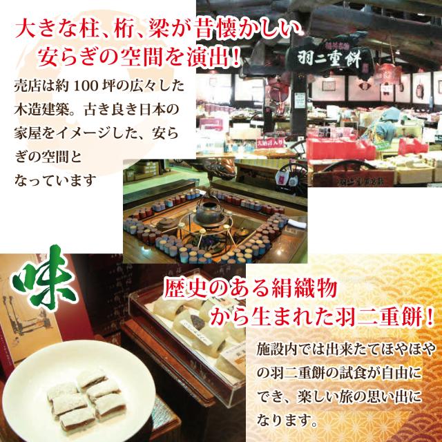 マエダセイカについて