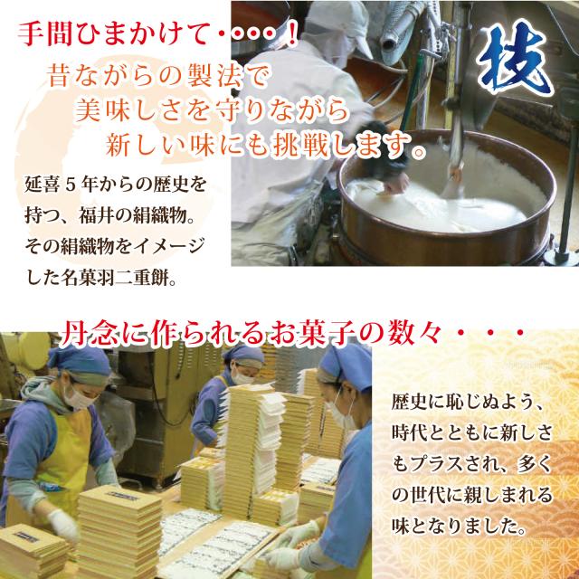 マエダセイカについて