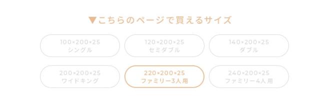 ファミリーサイズ