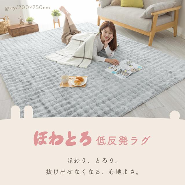 もこもこ低反発ラグ