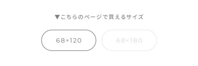 約68×120cm