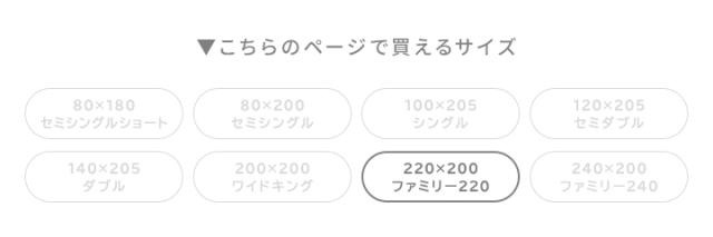 ファミリーサイズ