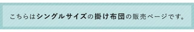 シングルサイズ