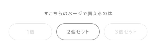 布団収納ケース