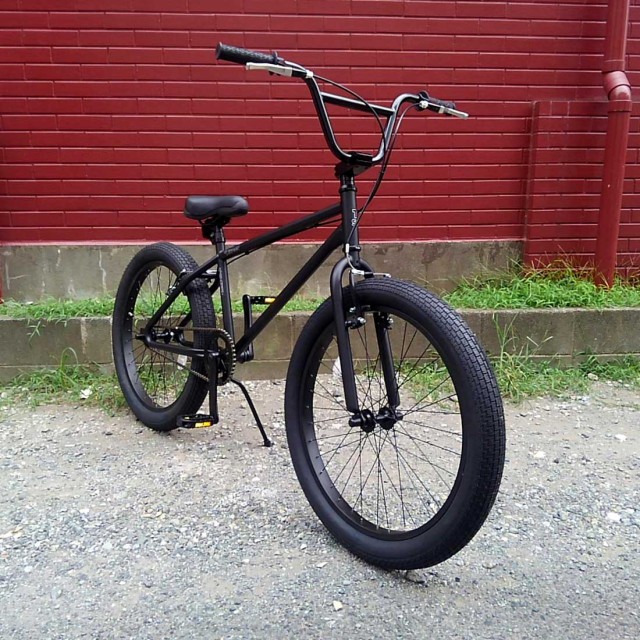 送料無料】BMX 自転車 24インチ BMX 街乗り ペグ ジャイロ ハンドル : ECOLIFE - 通販 - Yahoo!ショッピング