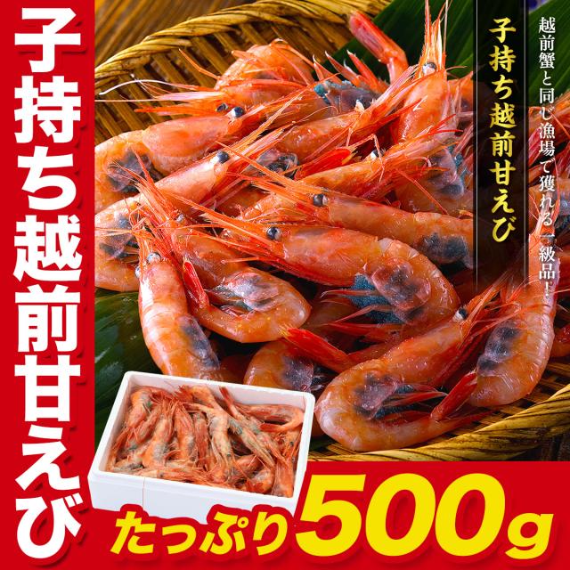 子持ち越前甘えび