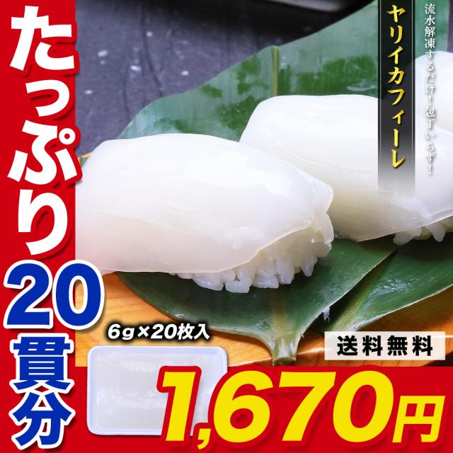 ヤリイカフィーレ