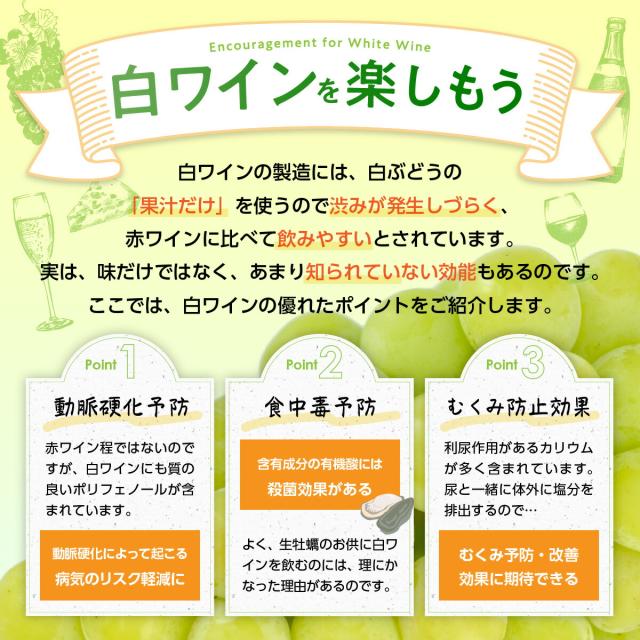 白ワインを楽しもう