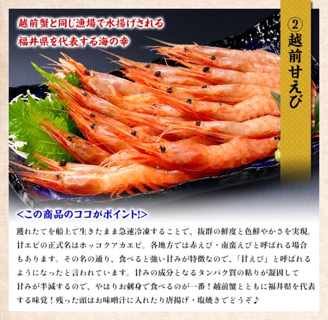 越前甘えび
