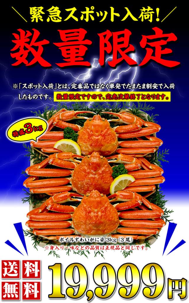 緊急スポット入荷