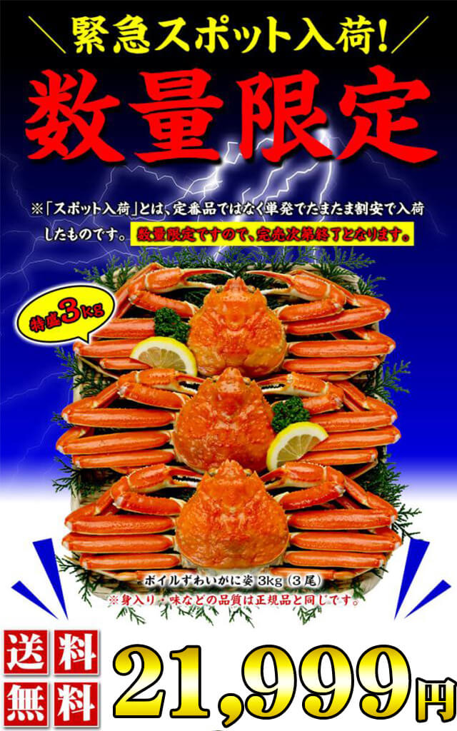 緊急スポット入荷