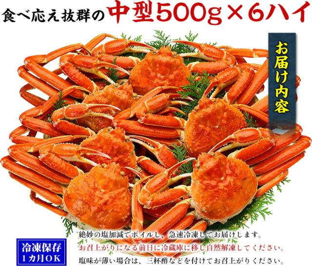 otodoke.jpg
