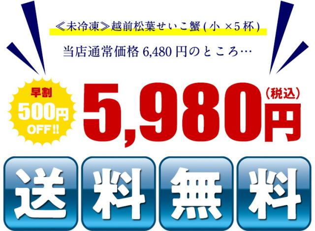早割5980円