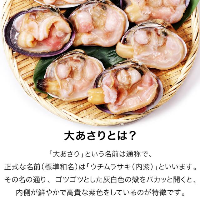 大あさりとは?