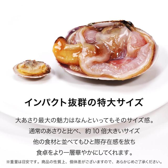 特大サイズ