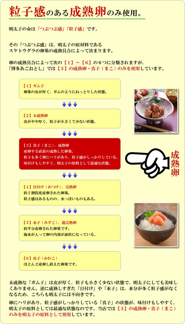 成熟卵