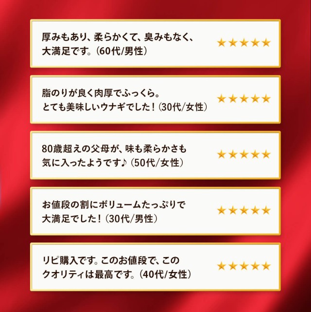 説明