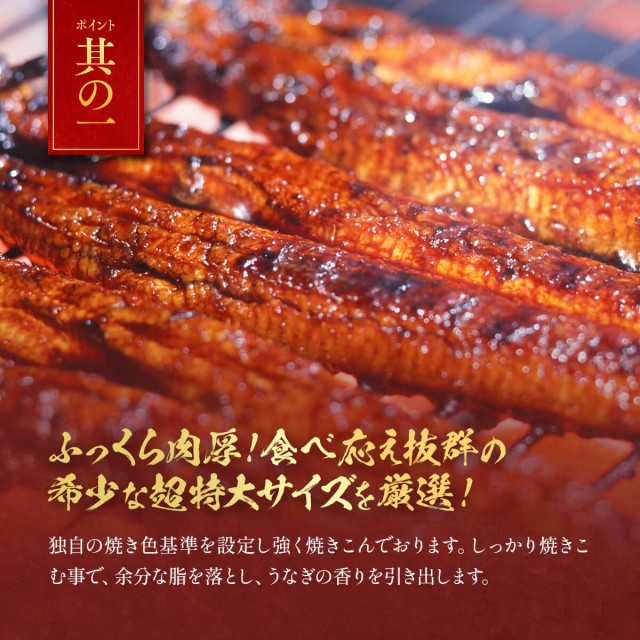 説明