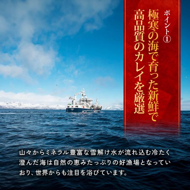 骨取アブラガレイ切身