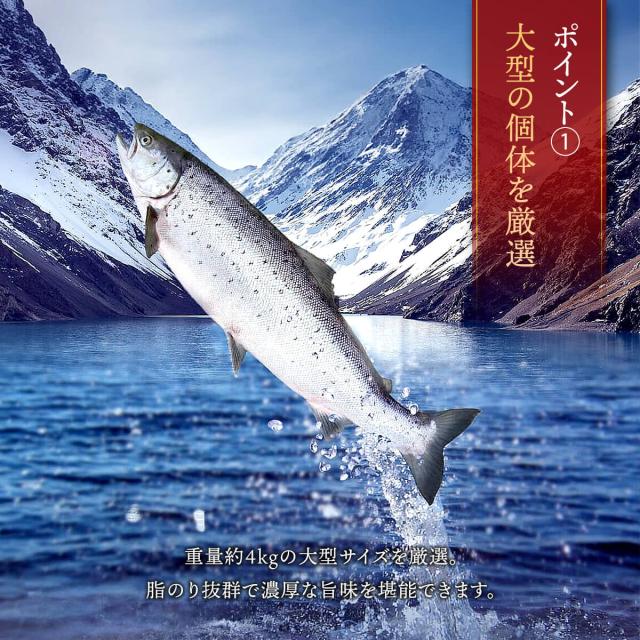 銀鮭ハラス説明