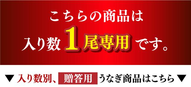 1尾専用