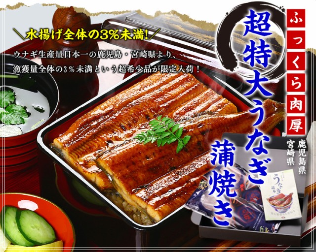 超特大うなぎ蒲焼き