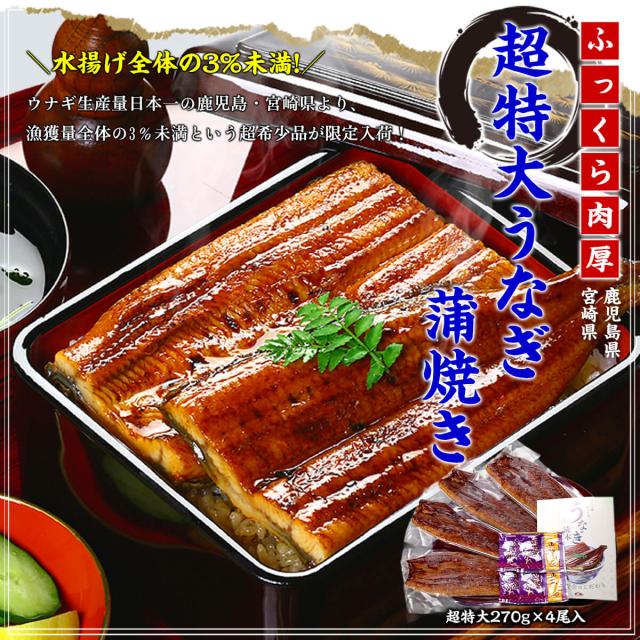 超特大うなぎ蒲焼き