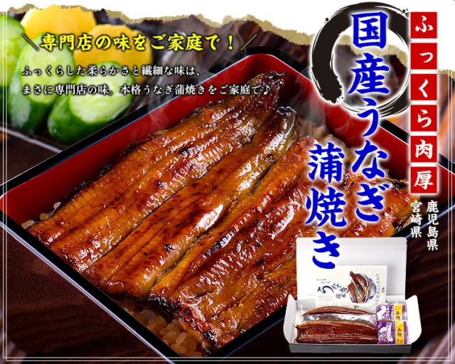 うなぎ蒲焼き