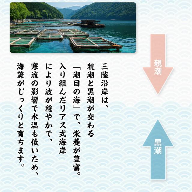 三陸産たたきめかぶ