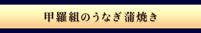説明