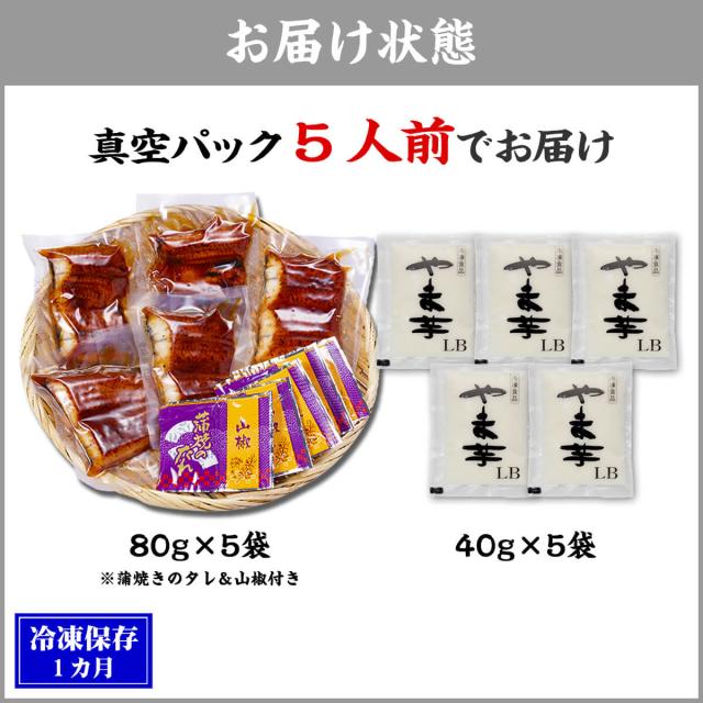 説明