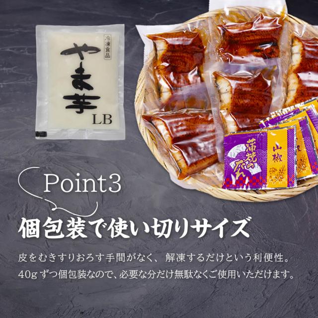 説明
