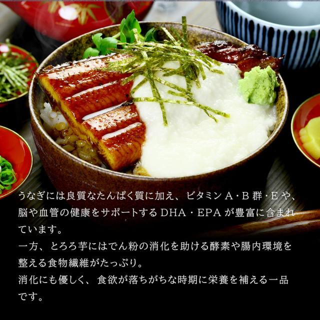 説明