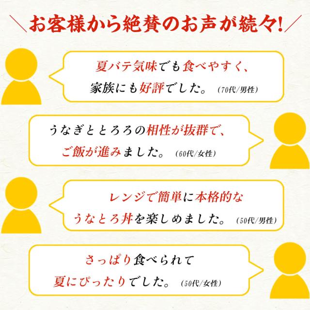 説明