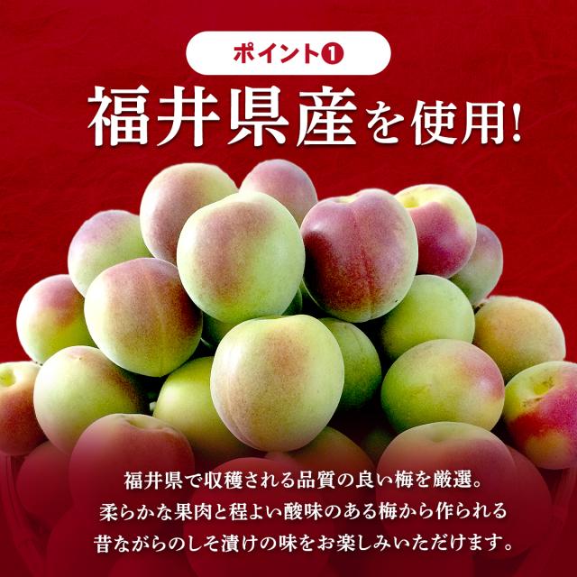 紅映梅”べにさしうめ”使用