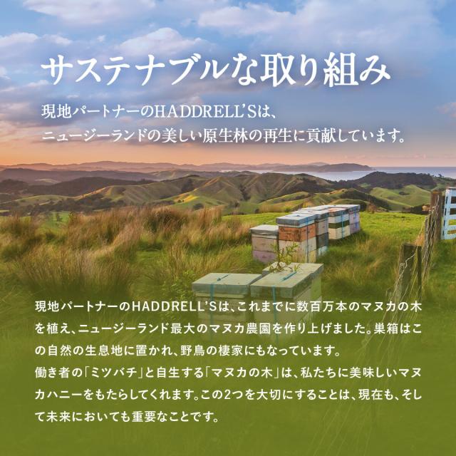 サステナブルな取り組み