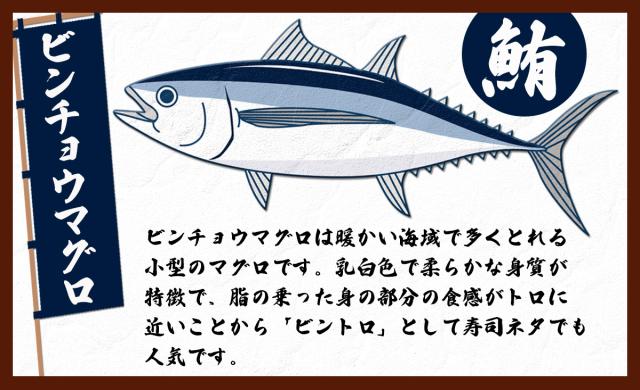 ビンチョウマグロ