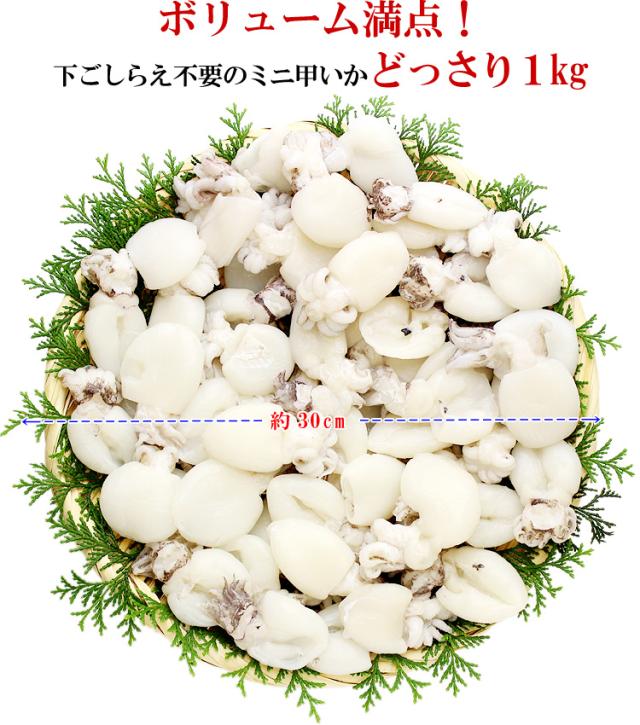 ボリューム満点