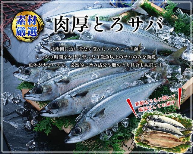 とろサバ