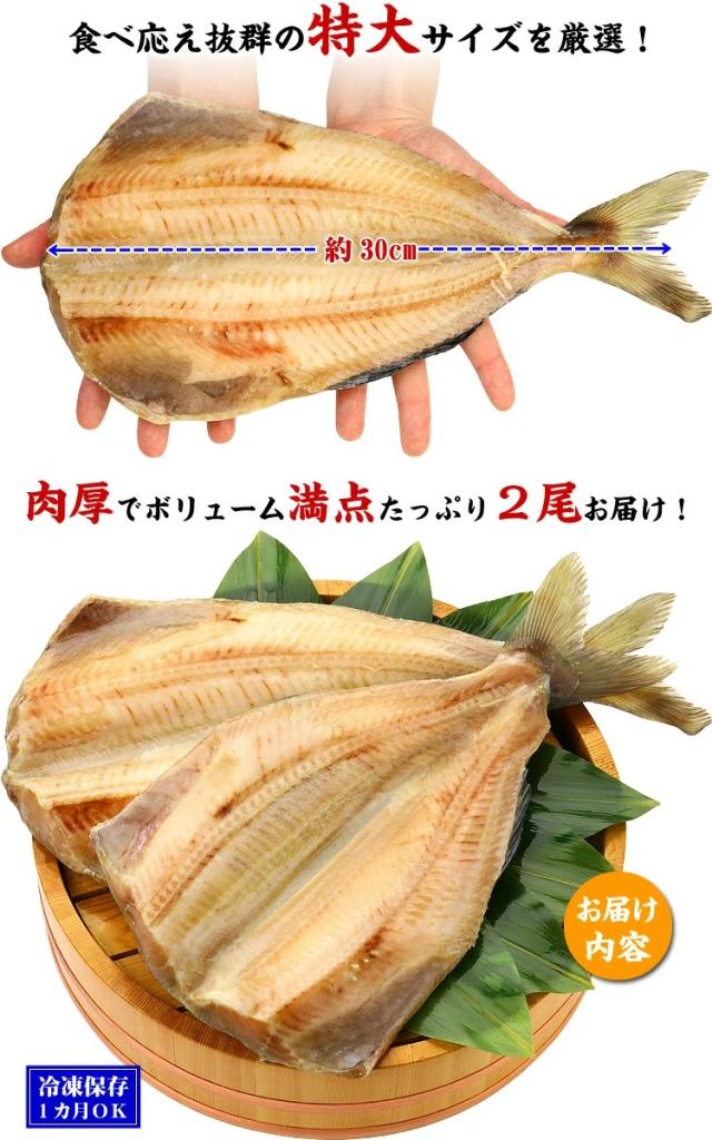 ボリューム満点