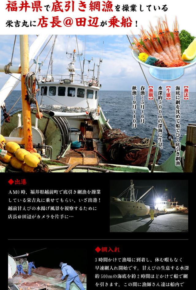 漁