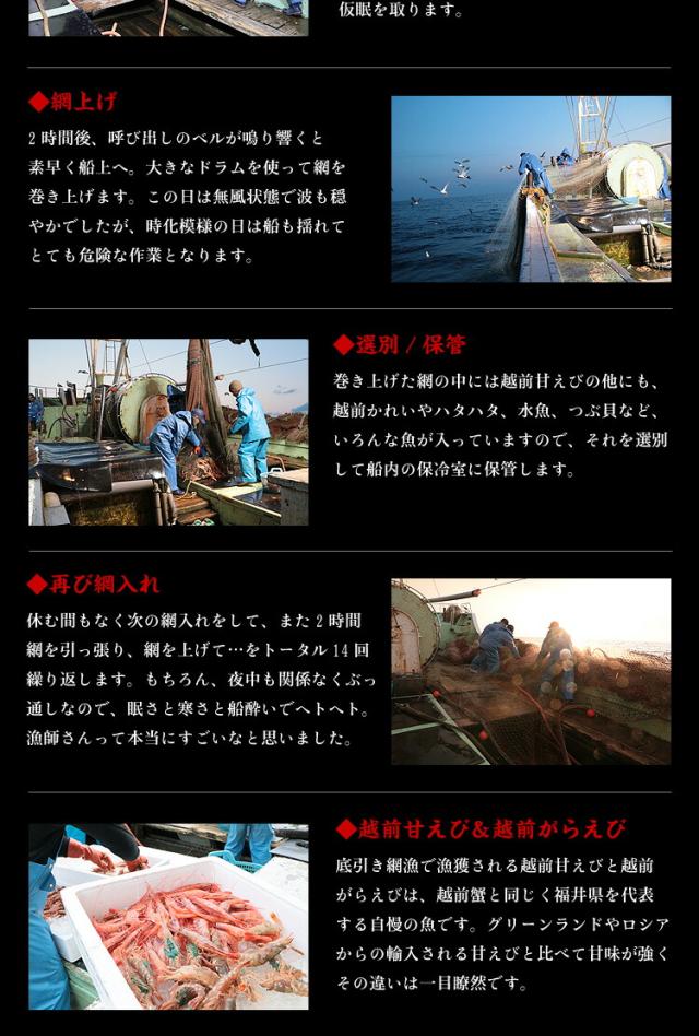 日本海