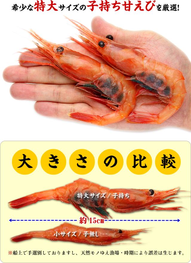 子持ち