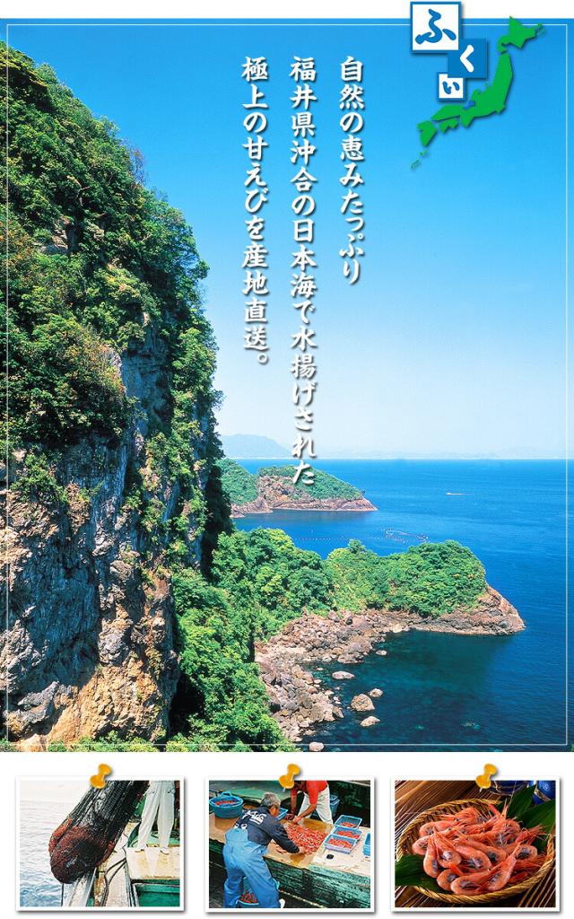 産地直送